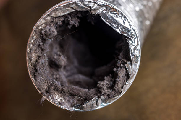 Best Ductwork Cleaning Services  in Bayside, WI